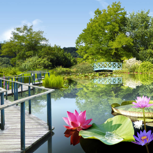 Jardins d'eau de Carsac Guide Touristique 2018