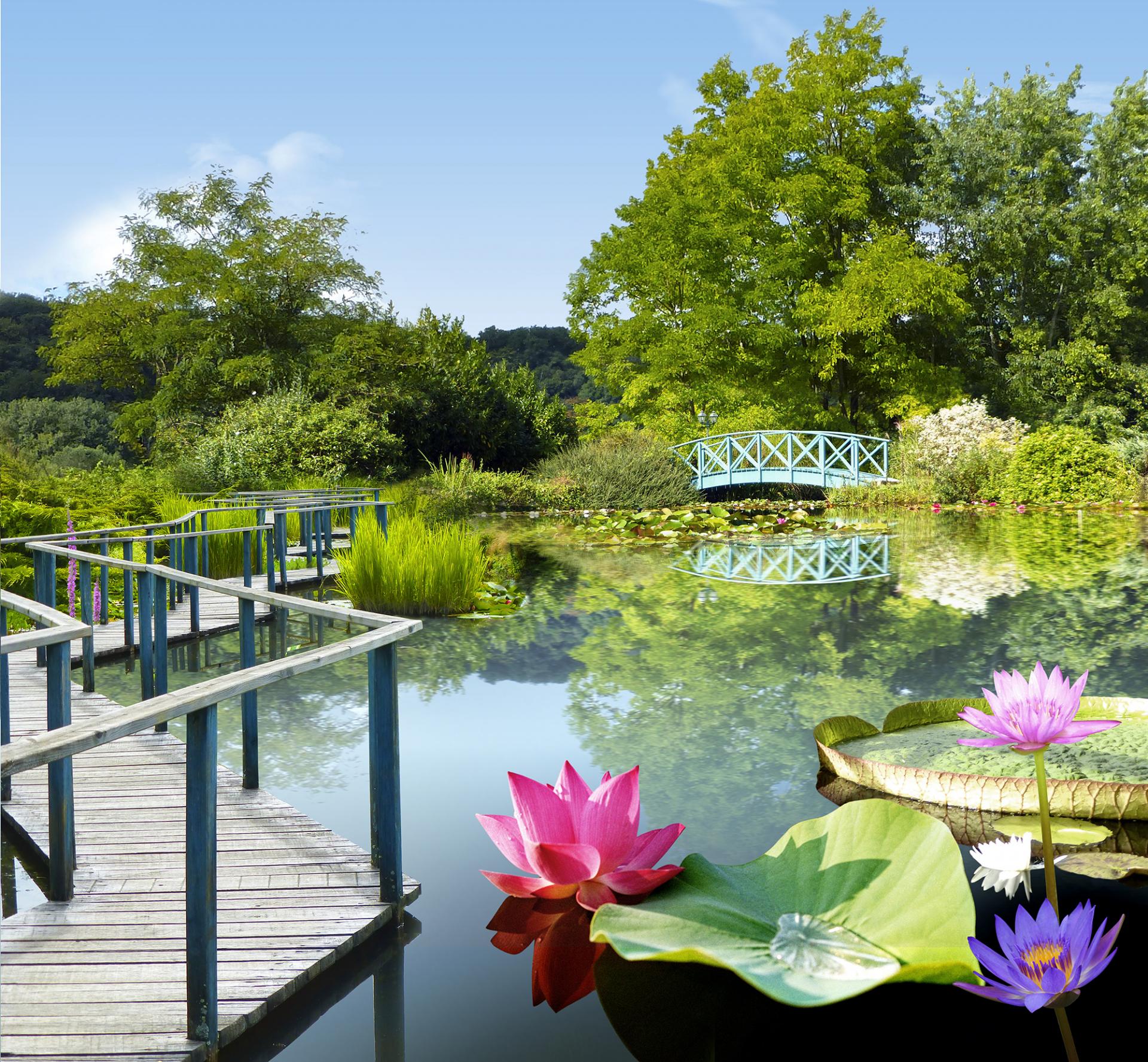 Jardins d'eau de Carsac Guide Touristique 2018