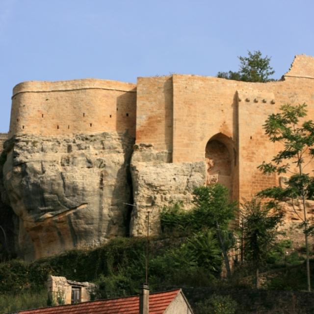 Château de Carlux