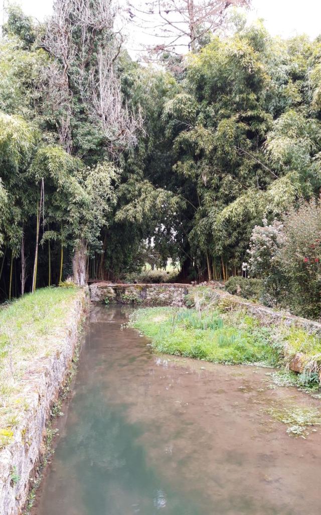 Ronde des Moulins 2019 - samedi 6 avril