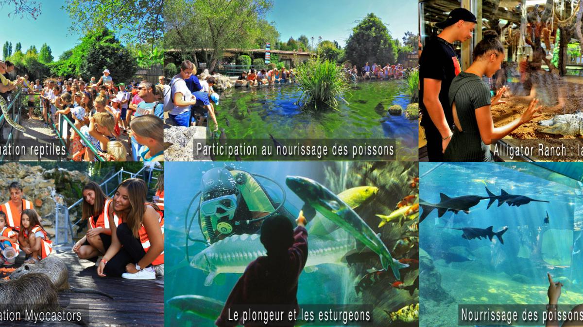 Aquarium du Périgord Noir Office de Tourisme du Pays de Fénelon