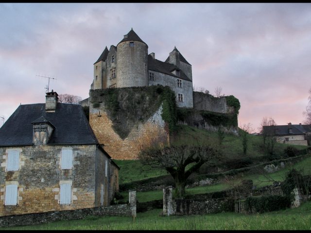 Château de Salignac