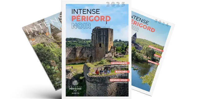 Mag Ipn 2025 Grande Web