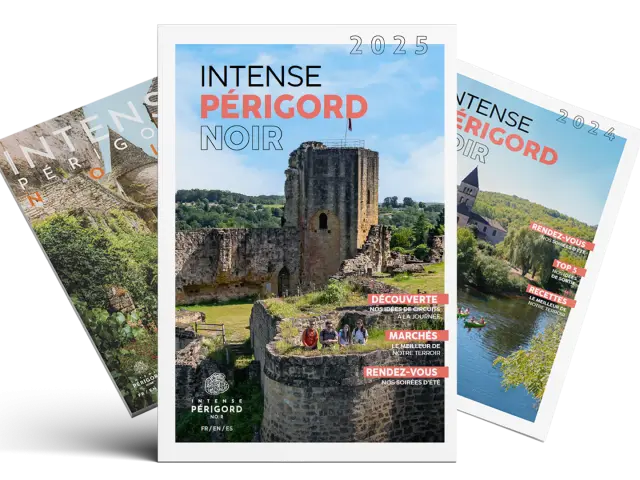 Mag Ipn 2025 Grande Web