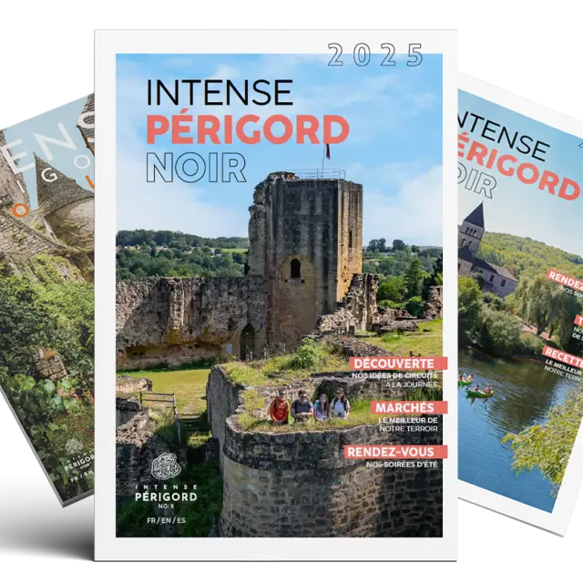 Mag Ipn 2025 Grande Web