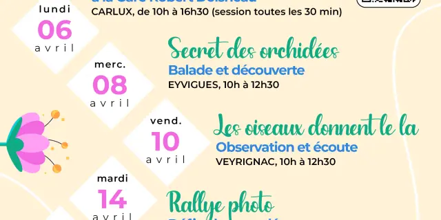 Affiche A4 Les Printanieres 2026
