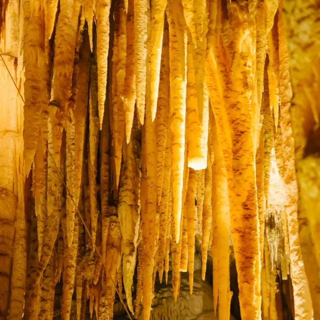 Intérieur Du Gouffre De Proumeyssac