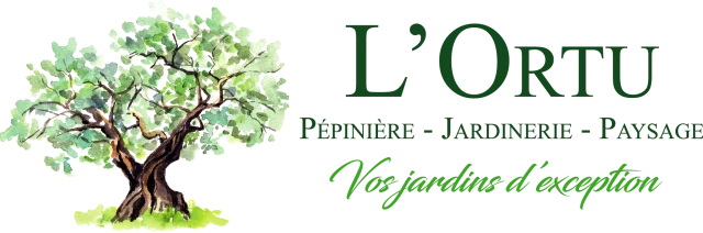 Logo Lortu