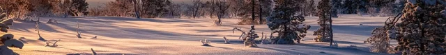 Pexels Photo 1900203