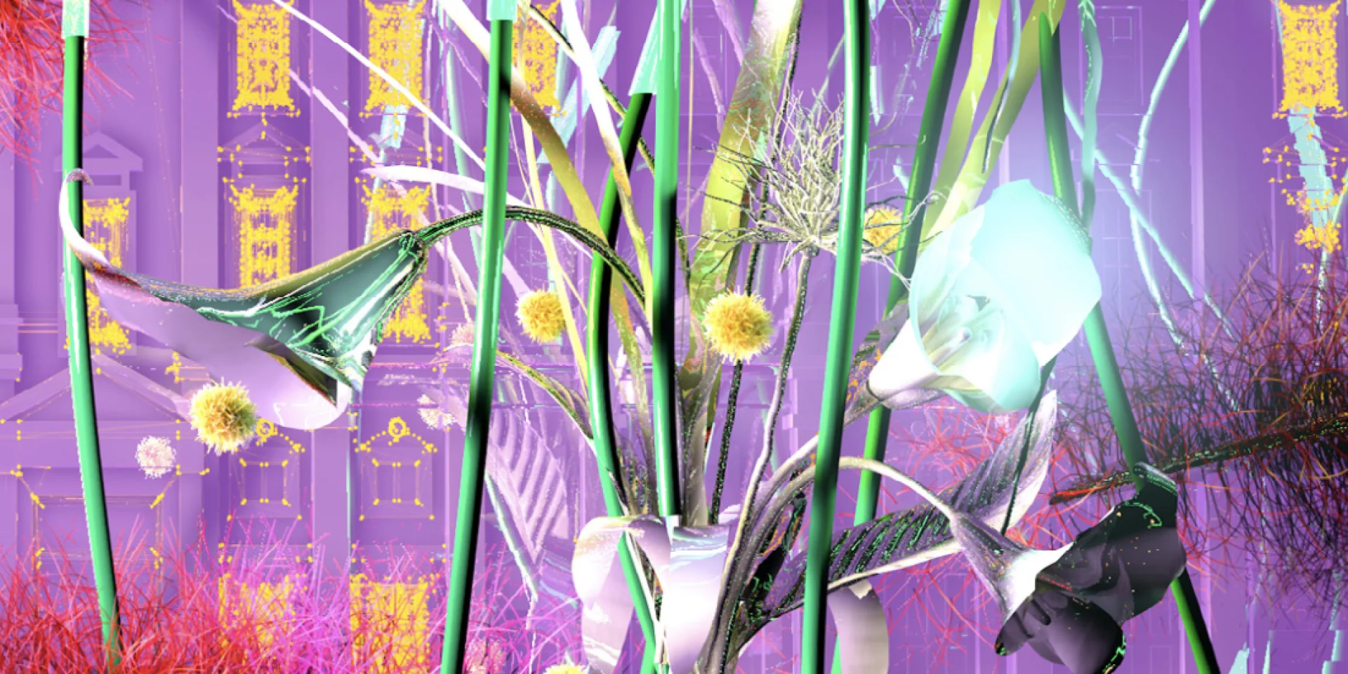 Mapping-Nyma-Astralia-fleurs-Office-Tourisme-Bonifacio-Festi-Lumi-Jesus.S.Baptista.