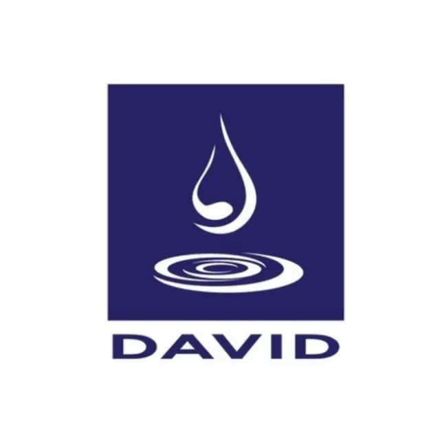 Logo David