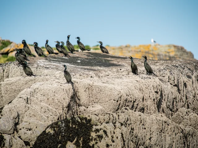 Crtb Ac4405 Derennes Yannick