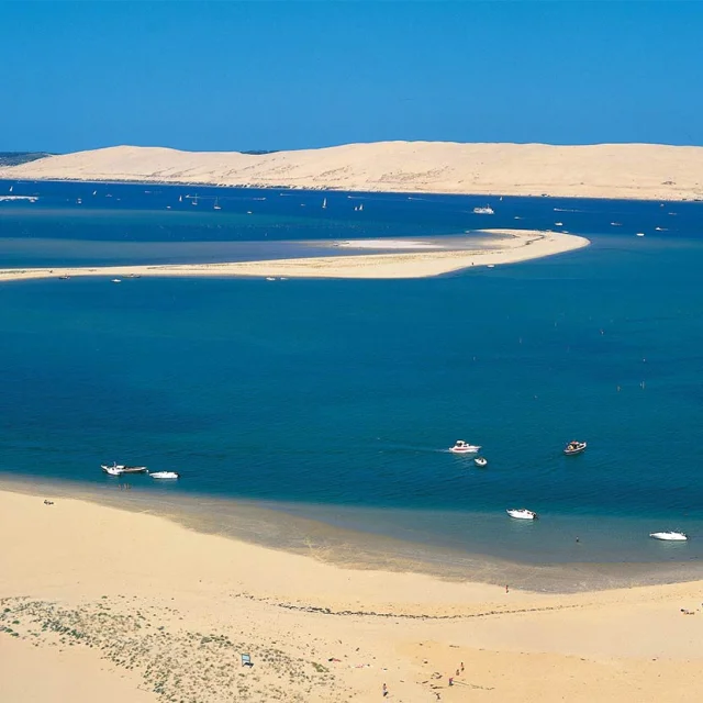 Un Large Panel Dactivites Decouvrir La Dune
