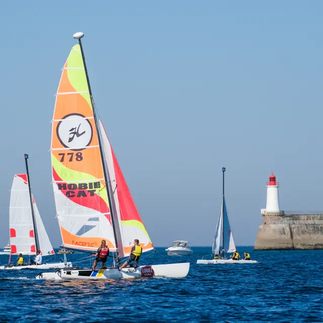 Catamaran Iso