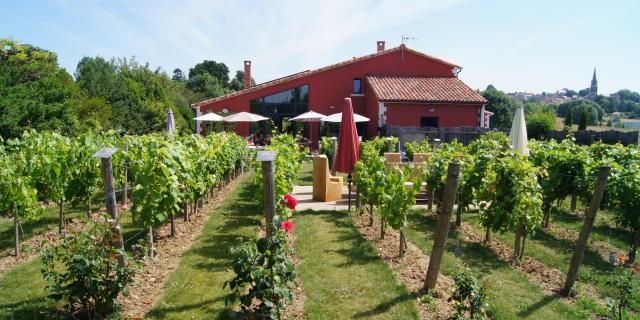 Terrasse Vignes Pause Gout The 85120 0