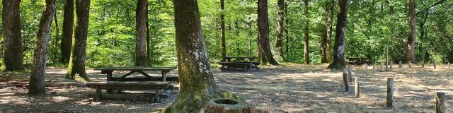 Aire de pique-nique en forêt de Mervent
