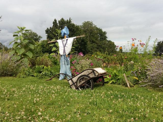 Jardin La Gataudière - Foussais-Payré - Fontenay-Vendée - 85