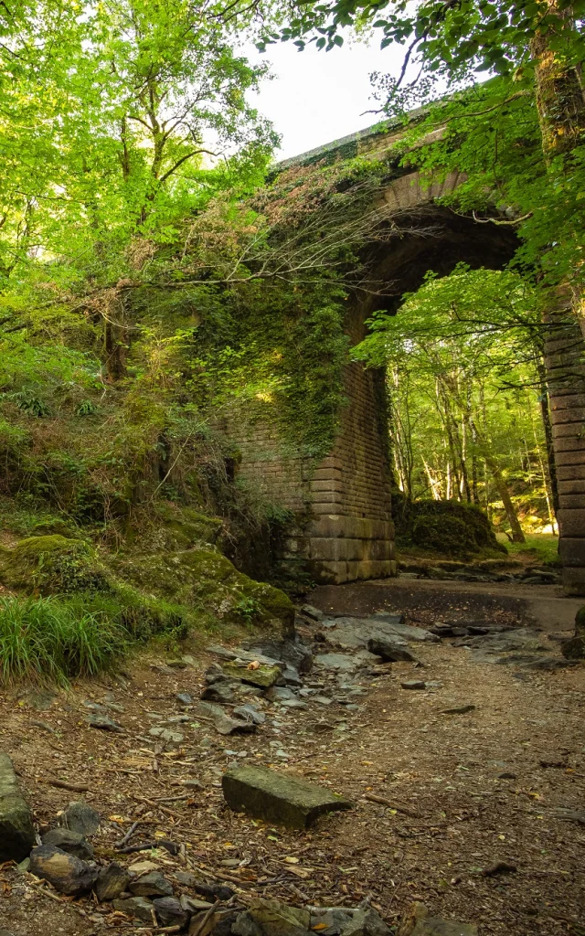 Forêt de Mervent-Vouvant pont du Déluge