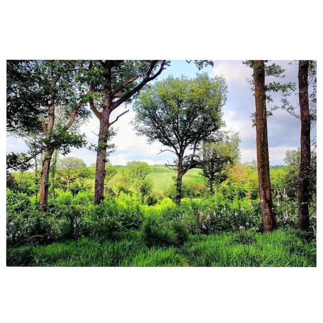 Instagram #mervent
