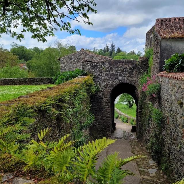 Instagram #vouvant