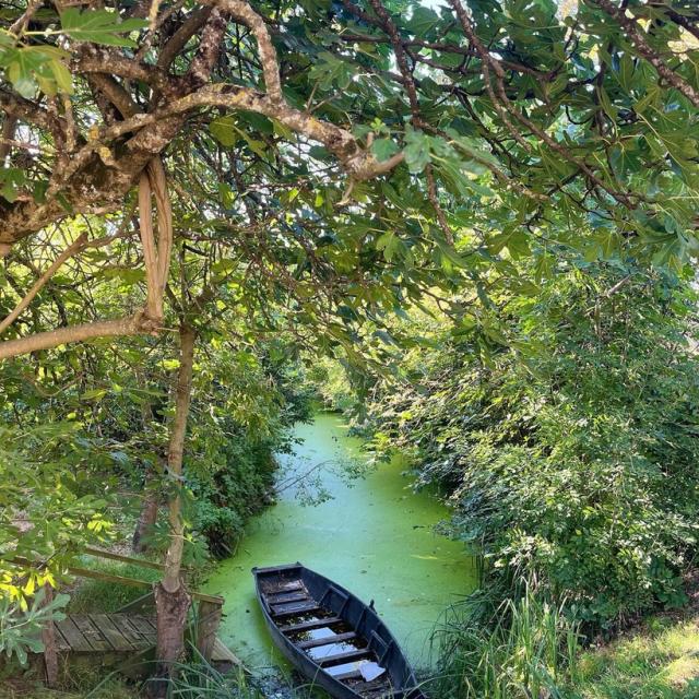 Instagram #maraispoitevin