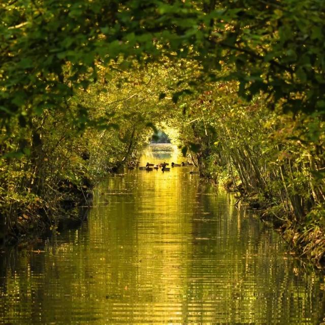 Instagram #maraispoitevin
