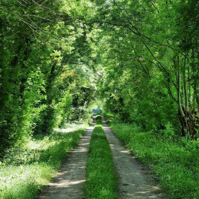 Instagram #maraispoitevin
