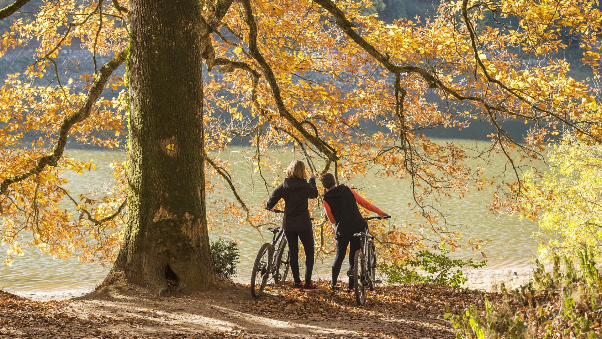 VTT en forêt de Mervent