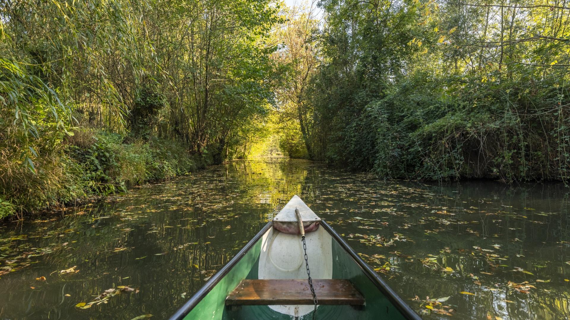 Canoë dans le Marais poitevin au Mazeau