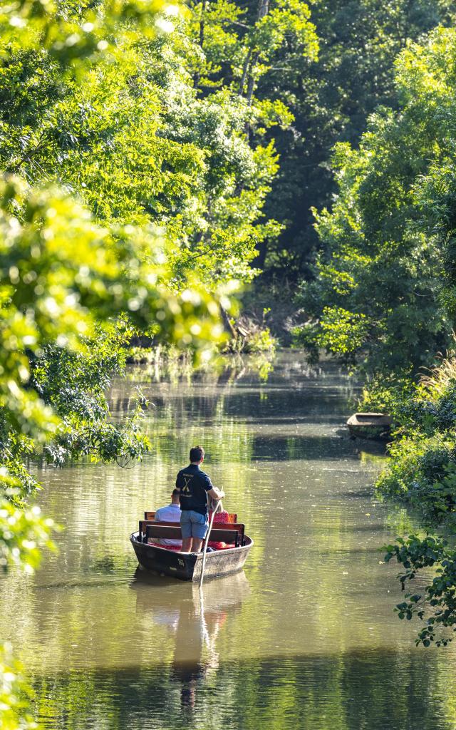 Visite du Marais poitevin en barque avec batelier en pleine Venise Verte