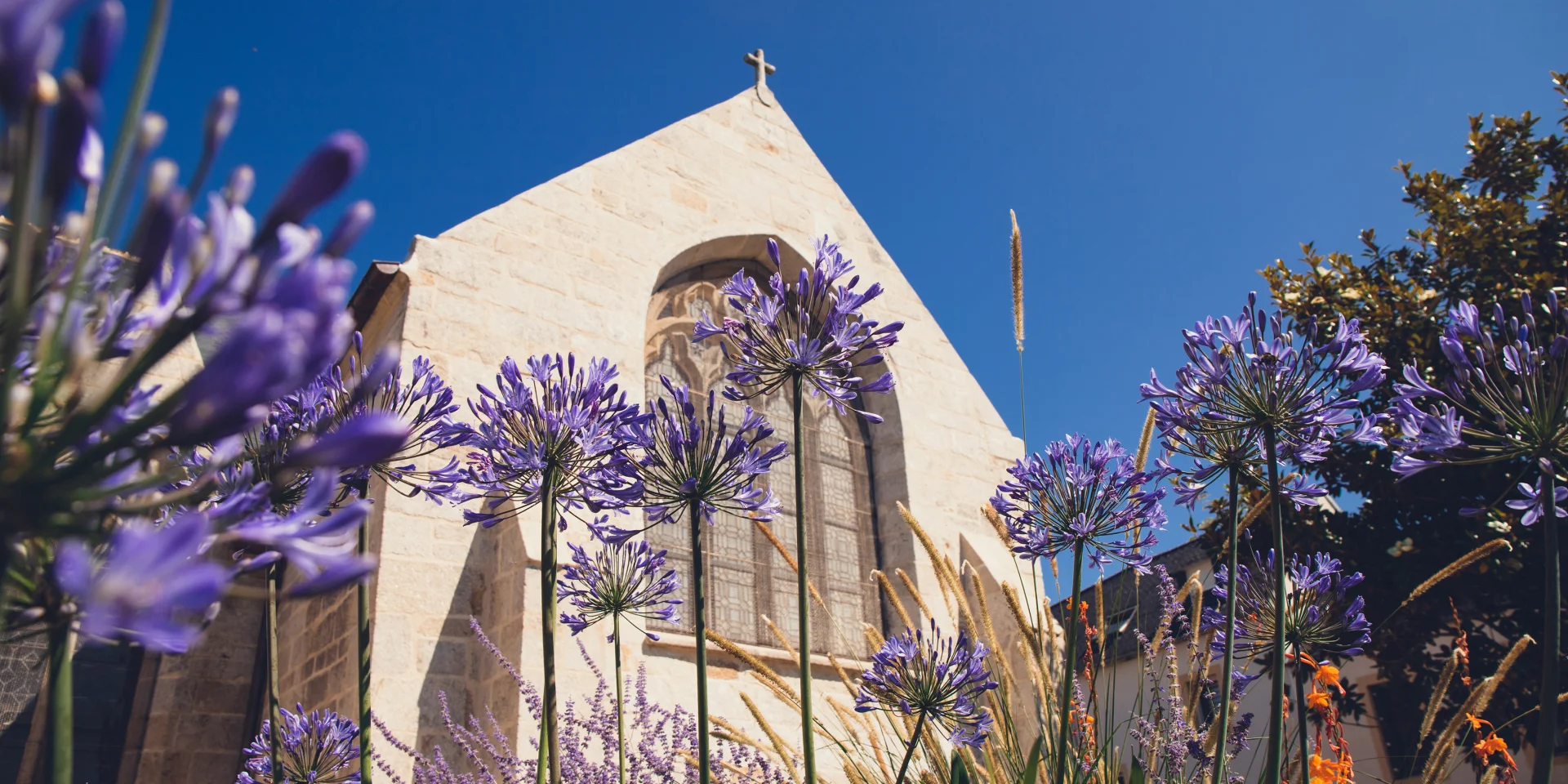 Vue extérieure de l'église Notre Dame Izel Vor avec des vitraux et des agapanthes mauves