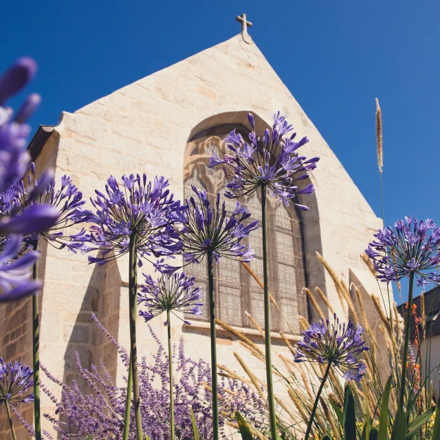 Vue extérieure de l'église Notre Dame Izel Vor avec des vitraux et des agapanthes mauves