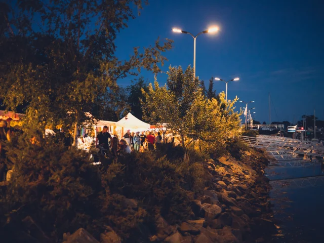 Marche Nocturne Julie Roux 1