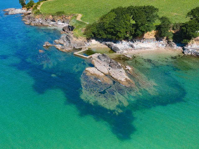 anse-saint-laurent-bras-de-mer-arbre-poriel-1.jpg