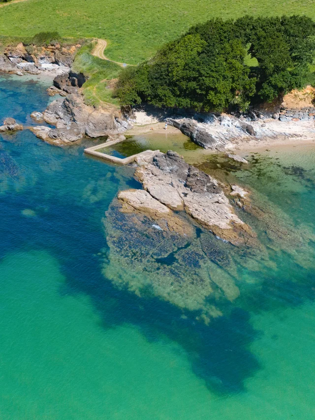anse-saint-laurent-bras-de-mer-arbre-poriel-1.jpg