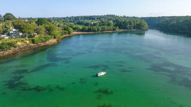 anse-saint-laurent-bras-de-mer-arbre-poriel-3.jpg
