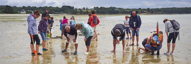 peche-a-pied-plage-de-kerleven-la-foret-fouesnant.jpg