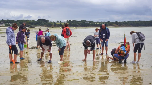 peche-a-pied-plage-de-kerleven-la-foret-fouesnant.jpg