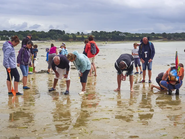 peche-a-pied-plage-de-kerleven-la-foret-fouesnant.jpg