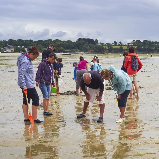 peche-a-pied-plage-de-kerleven-la-foret-fouesnant.jpg