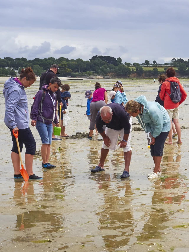 peche-a-pied-plage-de-kerleven-la-foret-fouesnant.jpg
