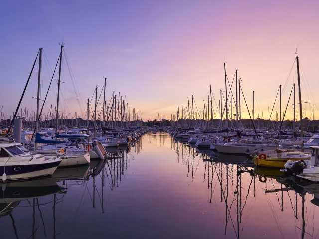 port-la-foret-nuit-ete-lamoureux-1.jpg