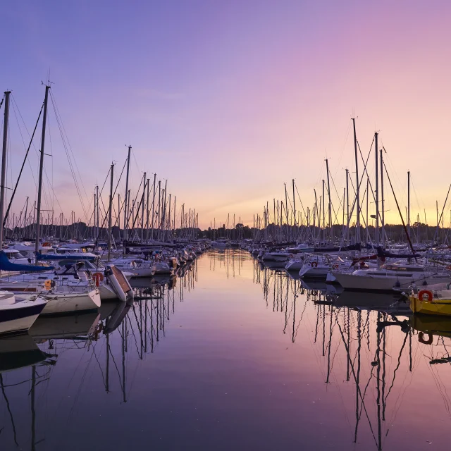 port-la-foret-nuit-ete-lamoureux-1.jpg