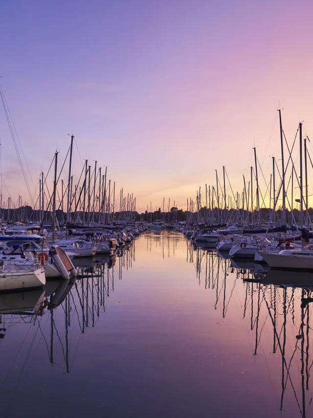 port-la-foret-nuit-ete-lamoureux-1.jpg