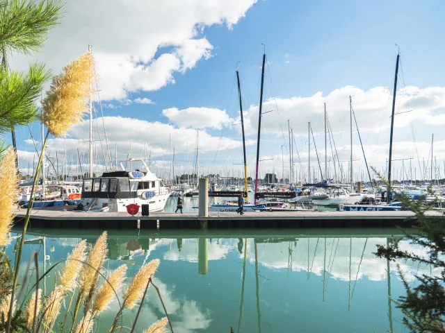 port-la-foret-octobre-t-poriel-2.jpg