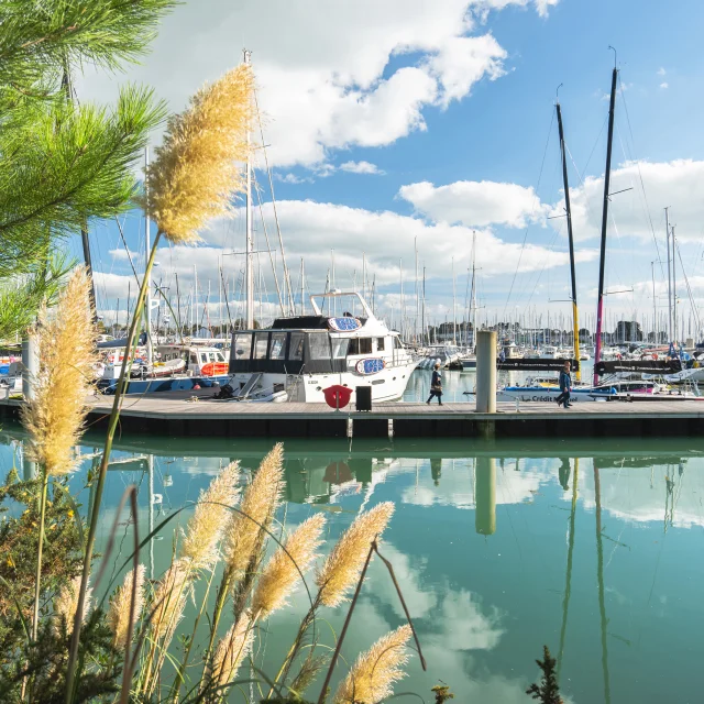 port-la-foret-octobre-t-poriel-2.jpg