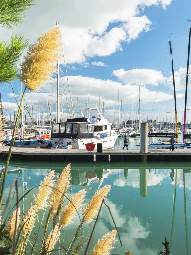 port-la-foret-octobre-t-poriel-2.jpg