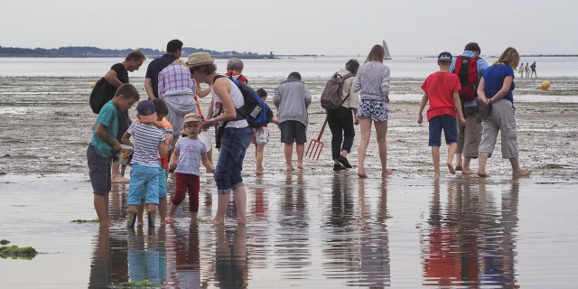 sortie-nature-peche-a-pied-plage-de-kerleven-la-foret-fouesnant-bernard-galeron.jpg