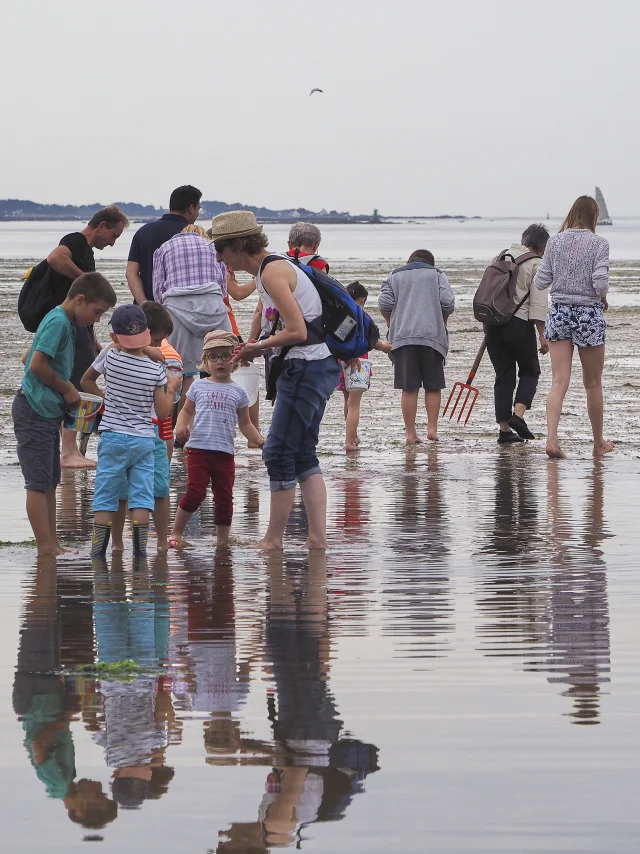 sortie-nature-peche-a-pied-plage-de-kerleven-la-foret-fouesnant-bernard-galeron.jpg