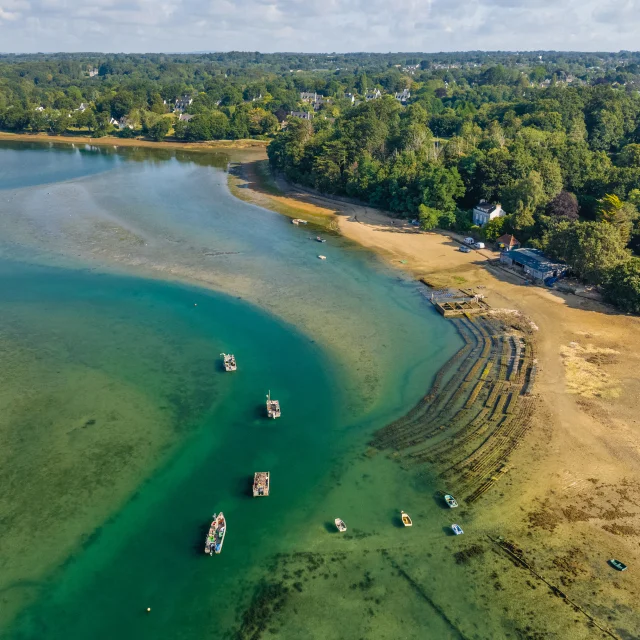 Penfoulic La Foret Fouesnant Coquillage Anse 3